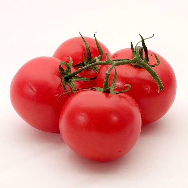 Tomato Seed