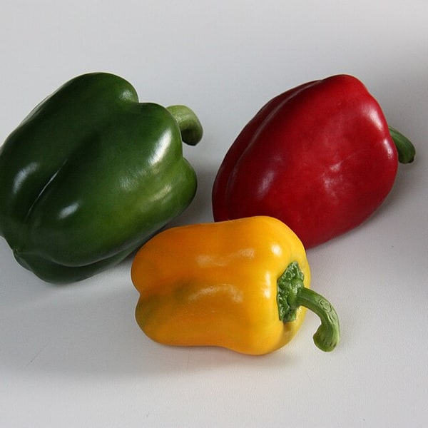 Capsicum Seed