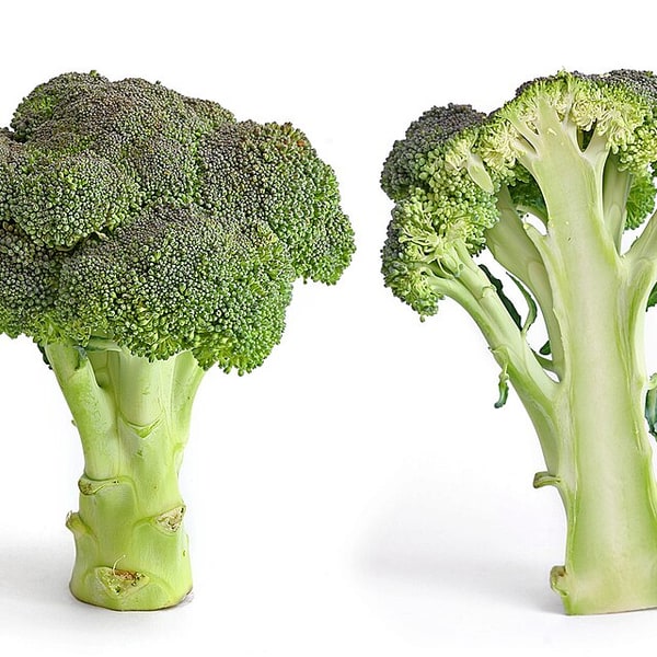 Broccoli Seed