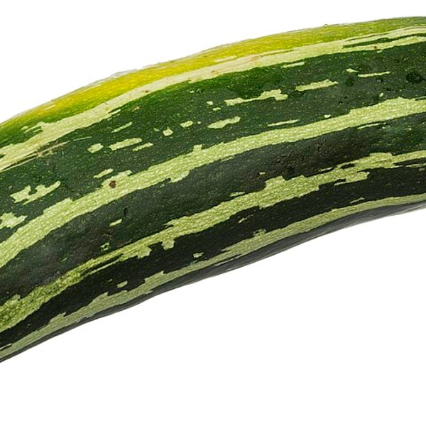 Zucchini Seed