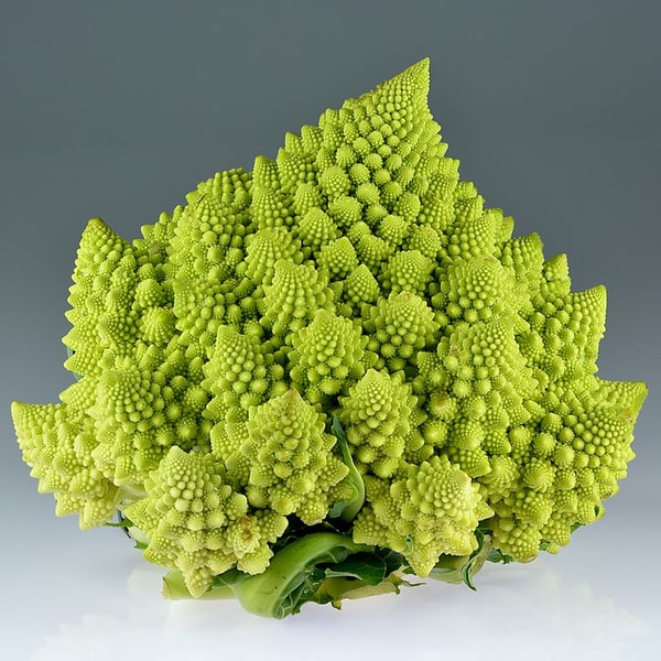 Hybrid Cauliflower Seed