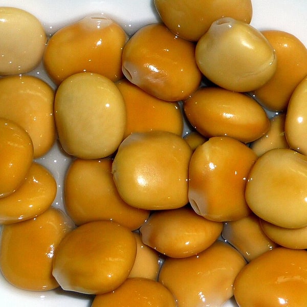 Australian Lupin Seed
