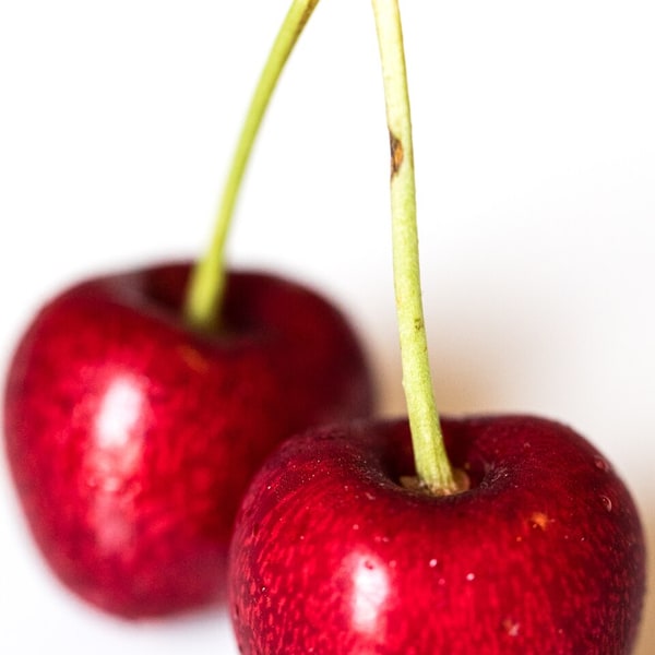 Cherry Seed for planting