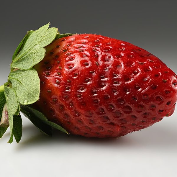 Strawberry Seed